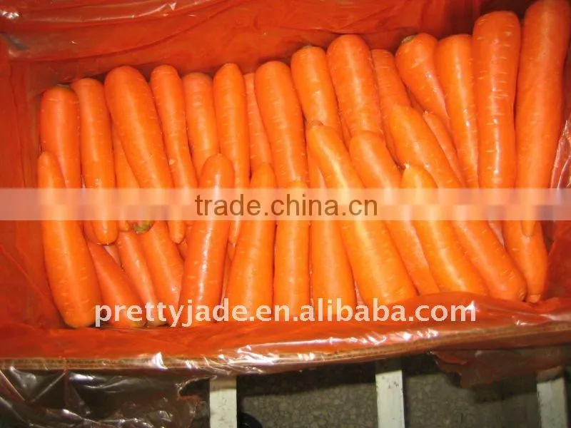 Fresh carrot
