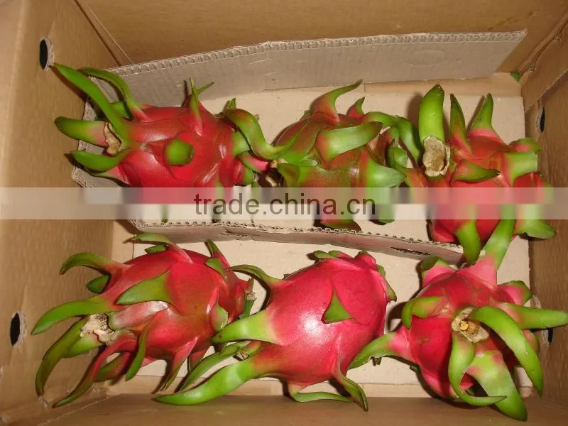 Fresh Dragon Fruit