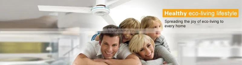 Biggest air volume 56 inch dc 12v fan