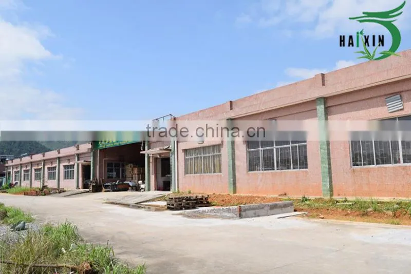 Longnan County Haixin Bamboo Products Co., Ltd. company overview - view 1