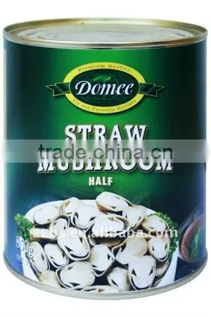 Canned Whole Straw Mushroom In Brine
