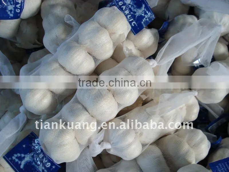Chinese garlic