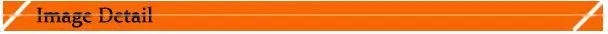 Opeate off line real time tcp/ip network conect security alarm system door sensor two doors two ways card control panel board