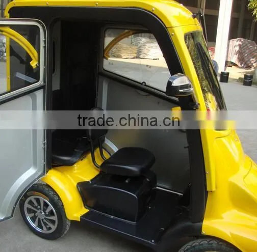 Mini Electric Car with 800W brushless motor