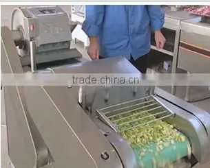 Stainless steel automatic vegetable dicing equipment 008613673685830