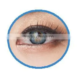 Seeshell korea contact lenses 45% Water content 1 month twinkle contact lens