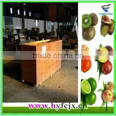 FC-0.5 Stainless Steel Automatic Electric Mango Juice Machine