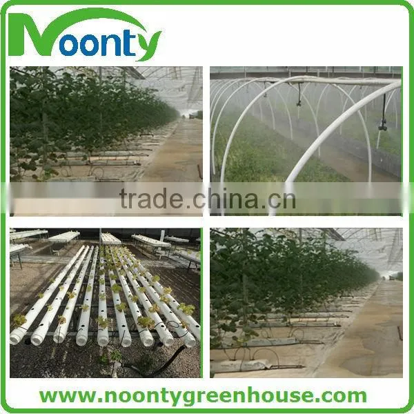 Economical Tunnel Greenhouse