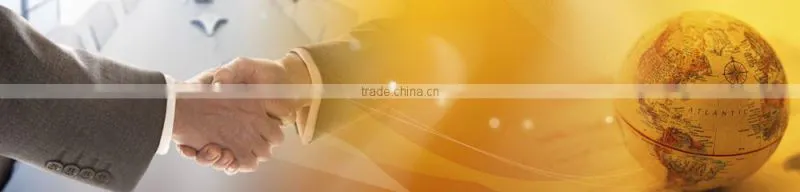 Gold supplier in Alibaba calcium silicon mental alloy / casi ferro alloy from China manufacture