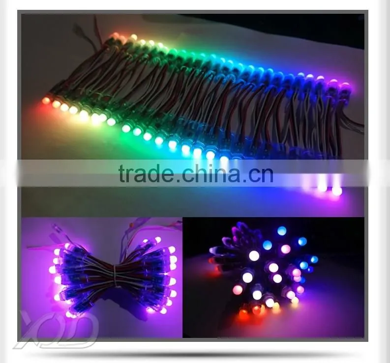 RGB Waterproof IP68 WS2811 LED Light LED Christmas Light