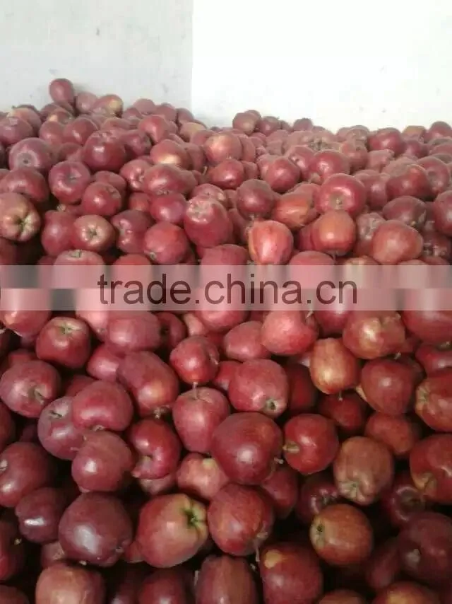 Huaniu Apples Red Delicous of year 2015