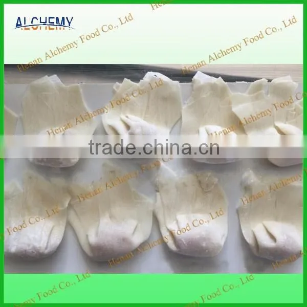 Cheap price ravioli machine/dumpling machine