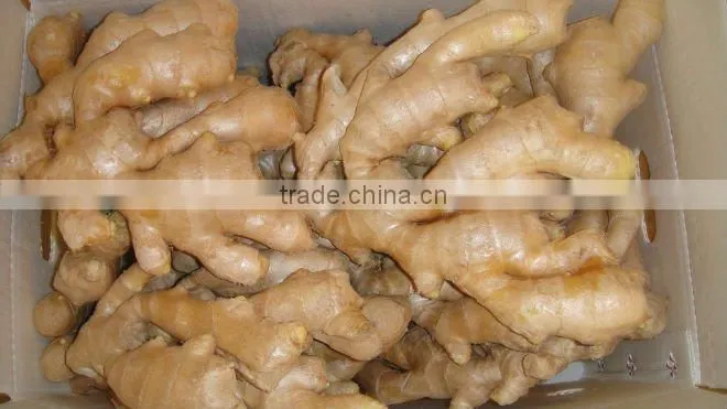 Fresh Ginger