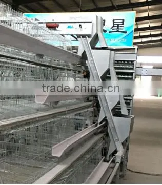 Baby chicken Hen House Cage for Nigeria growing layers