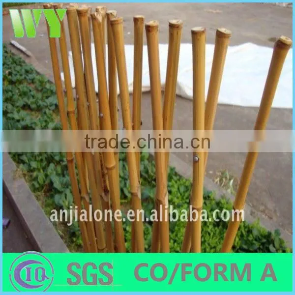Wy-C177 Custom types of bamboo flower stands