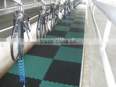 eva floating mat/eva non toxic puzzle mats/eva rubber sheets