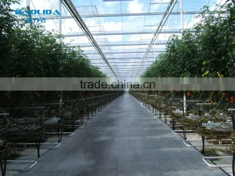 BaoLiDa high quality PC covered greenhouse hot-dip galvanized steel framework structure greenhouse