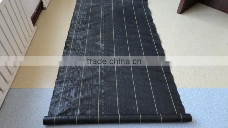 PP Woven Black Plastic Ground Cover Fabric Roll