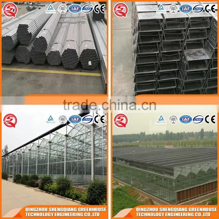 2017 8mm glass greenhouse with high quality steel frame for sale
