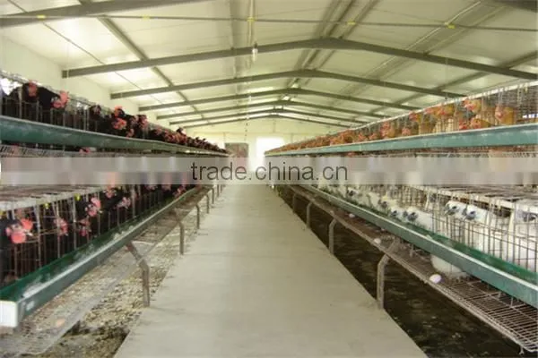 Industrial steel structure design poultry farm shed chicken house for layers