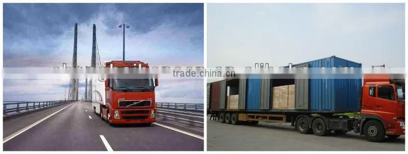 High Quality Frozen Pork Shoulder Meat import agency services