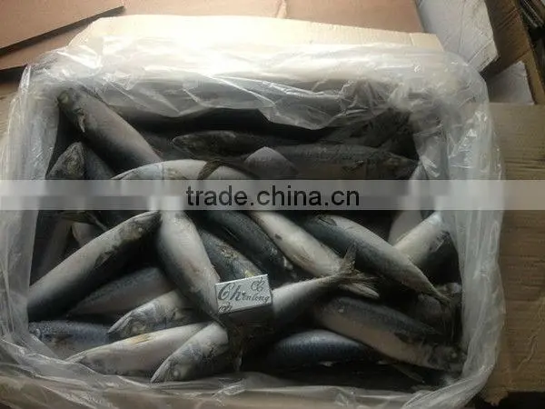 Among meat raw materials processing