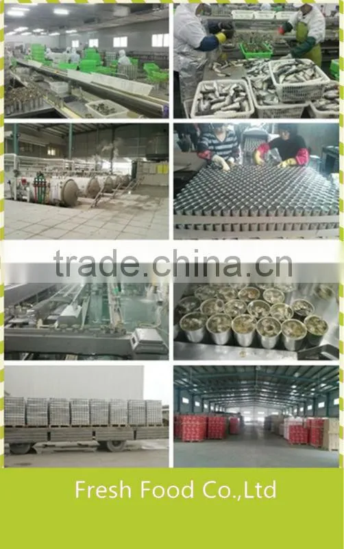 Most popular fish item exporting ingredient canned sardine fish