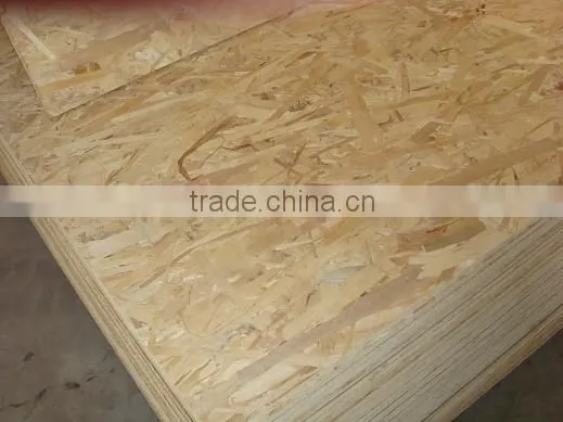 poplar OSB