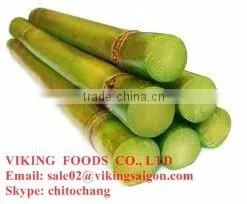 FROZEN SUGAR CANE - GOOD QUALITY