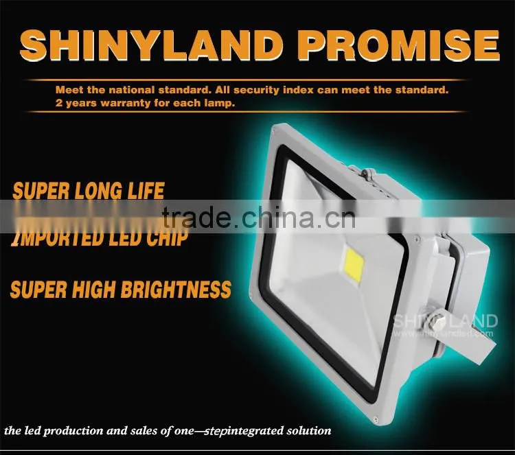 Russian distributors wanted 10w led floodlight housing with low price