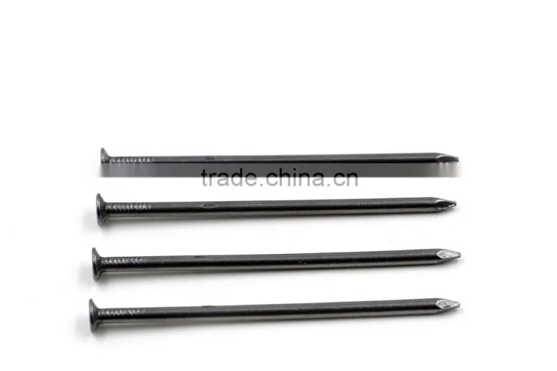 3'' Metal Electro Galvanized Iron Nials,Common Nails Smooth Shank Polised