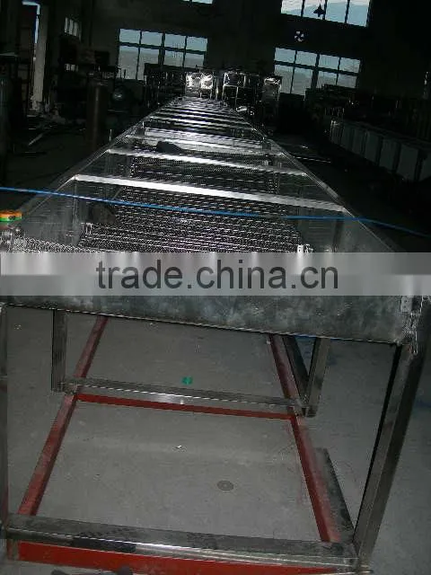 Water Immersion Sterilizer