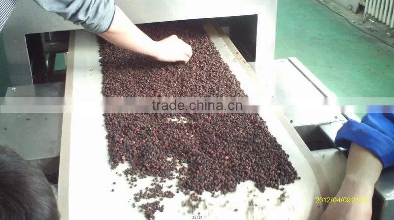 industrial continous feeding microwave coffee bean/nuts roasting machine