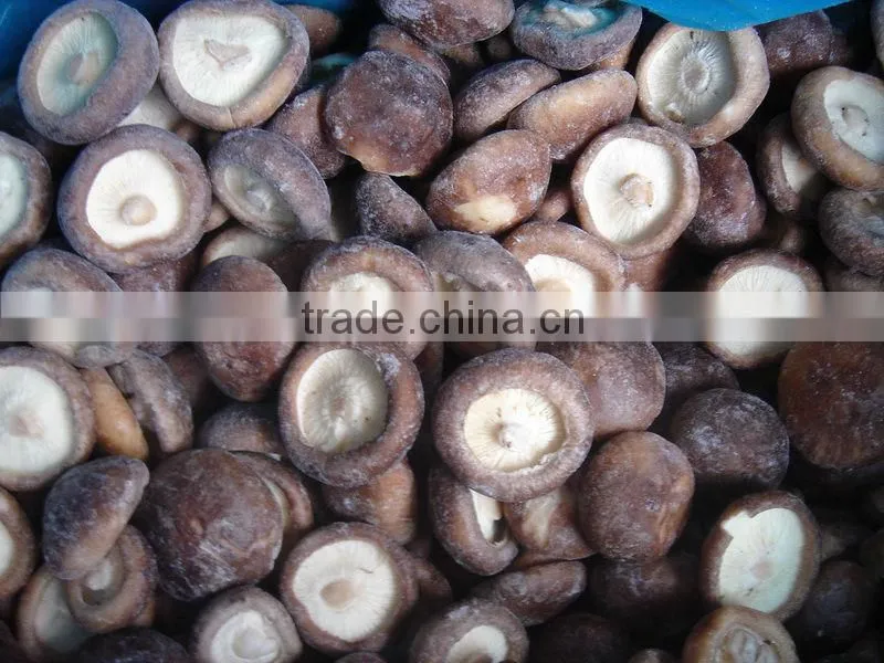 Frozen Fresh Shiitake Slices