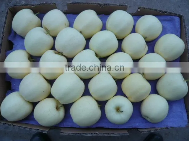 fresh golden apple
