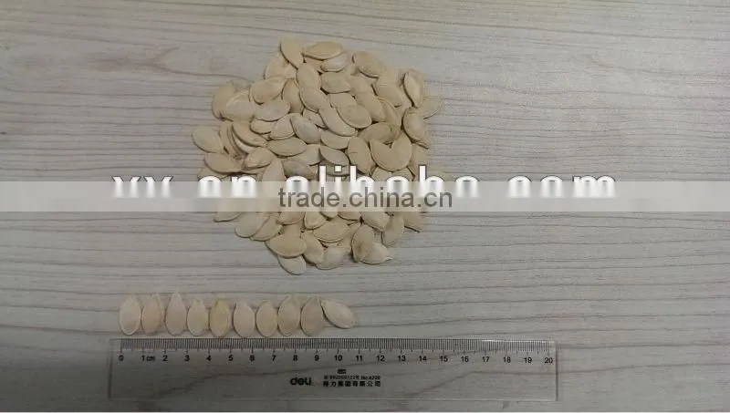 2015 new crop high quality hot sale pumpkin seeds kernel powder