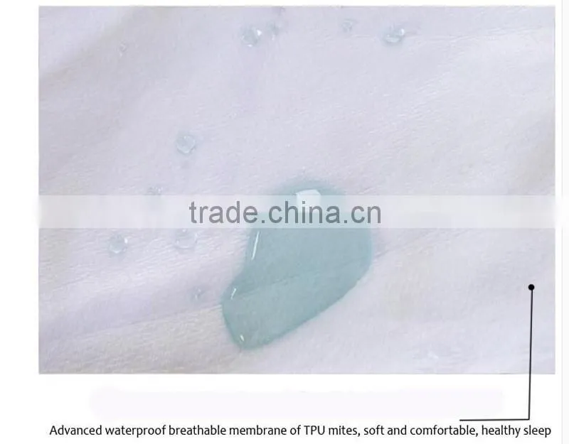 Hospital WaterProof Bed Bug Polyester Zipper Mattress Cover
