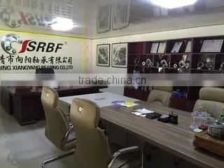 Linqing Xiangyang Bearing Co., Ltd. company overview - view 1