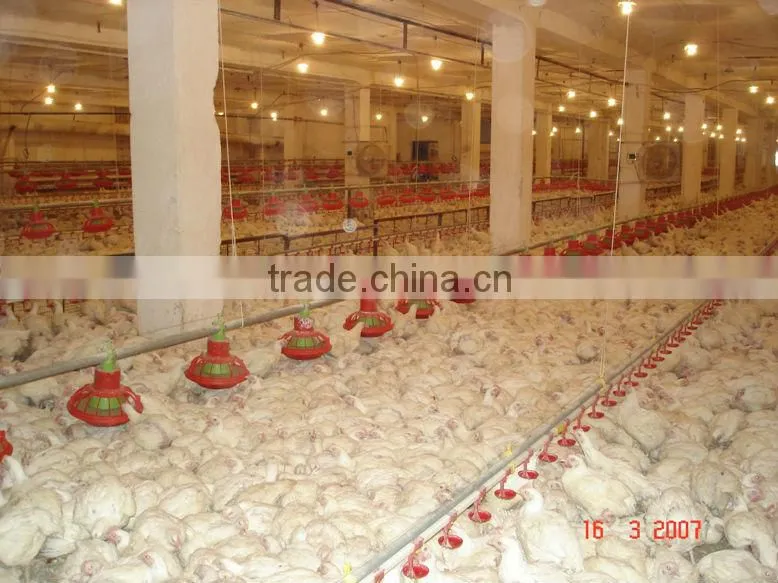 broiler feed system
