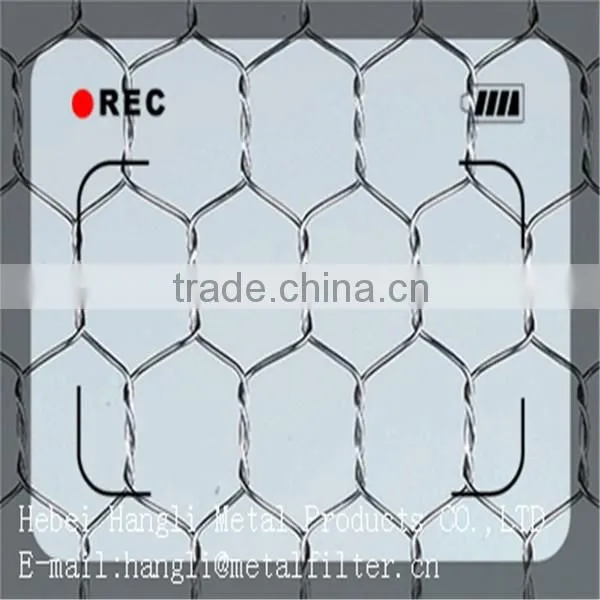 2015hot sale china supplier low price Stainless Steel Hexagonal Wire Netting