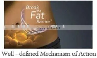 2012 multifunctional Radio Frequency Fat Cavitation Slimming Equipment-CE