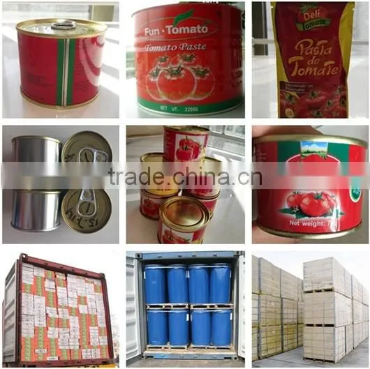 tomato paste less than 4.5KG Canned fruit and vegetable
