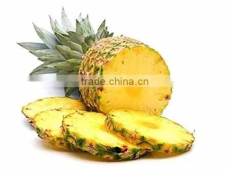 pineapple canned in good quality standard