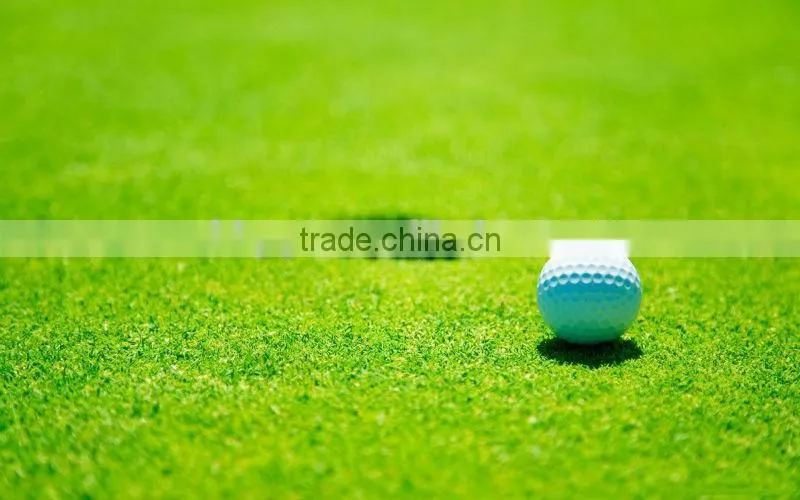 Tea Seed Meal/Cake/Powder/Pellet for Aquaculture, Organic Fertilizer, Eco-pesticides, etc.