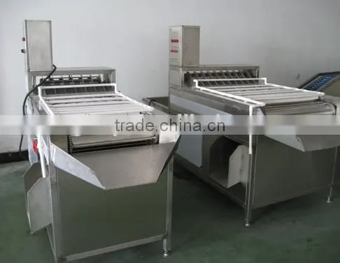 2015 high quality Boiled Chicken or Hen Egg Shell Removing Machine