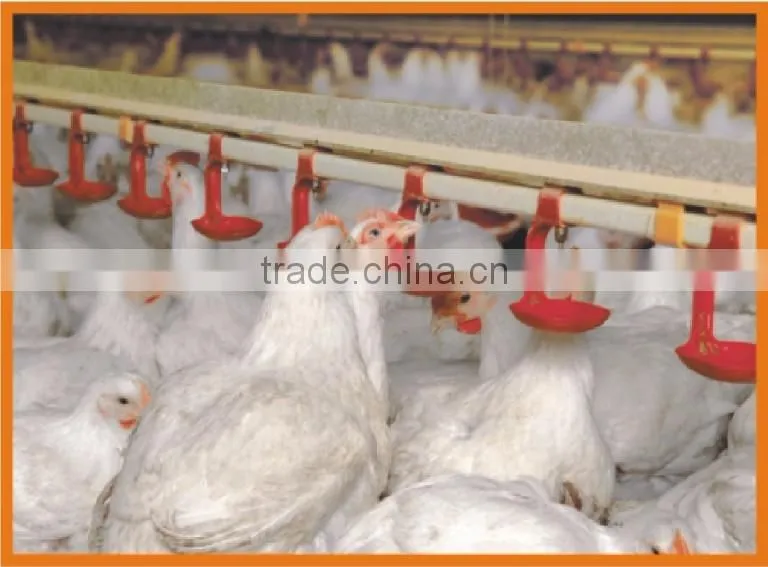 high quality automatic chicken nipple drinking water system for farm