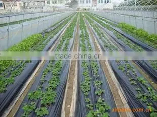 PE plastic film for mulch/greenhouse/construction/packaging