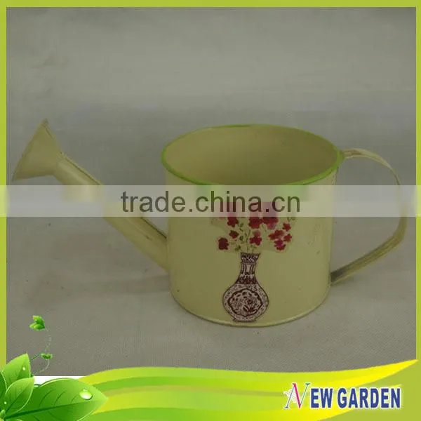 High Grade Colorful Watering Can Decorative Metal Plant Pots Indoor