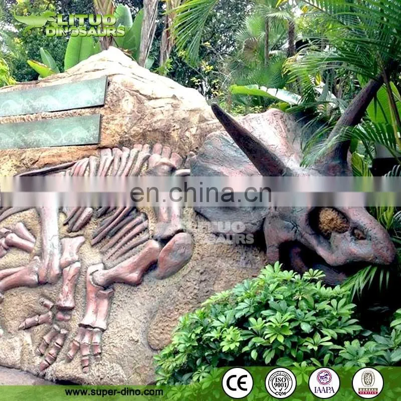 Artificial Dinosaur Skeleton for Amusement Park
