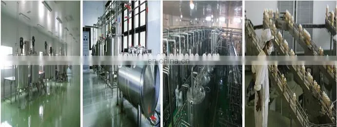 Small scale milk process plant/frozen yogurt making machine